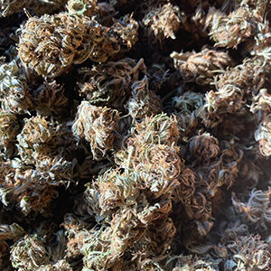 MidWest, Fleur de Chanvre CBD