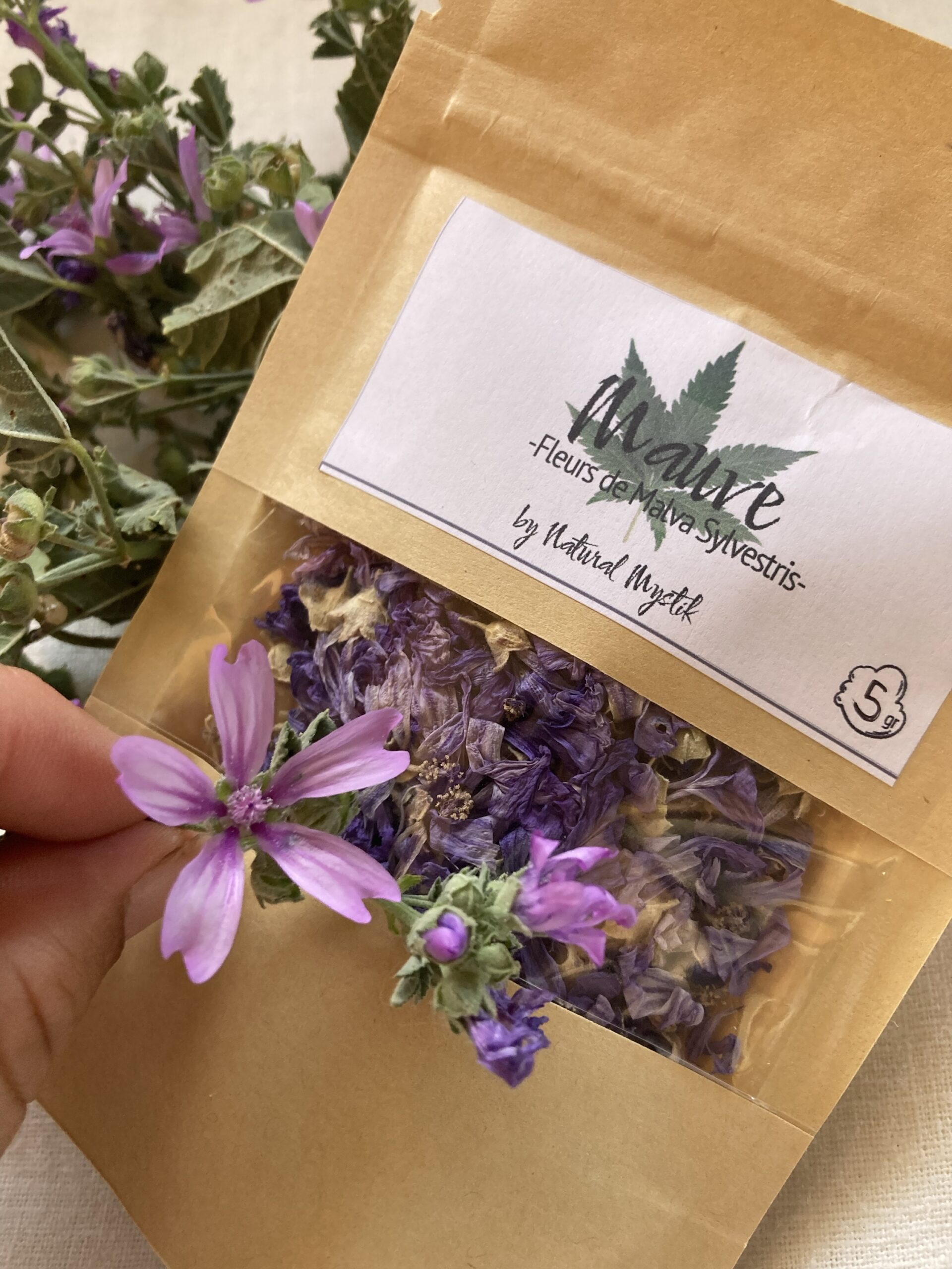 Fleur de Mauve – Image 3