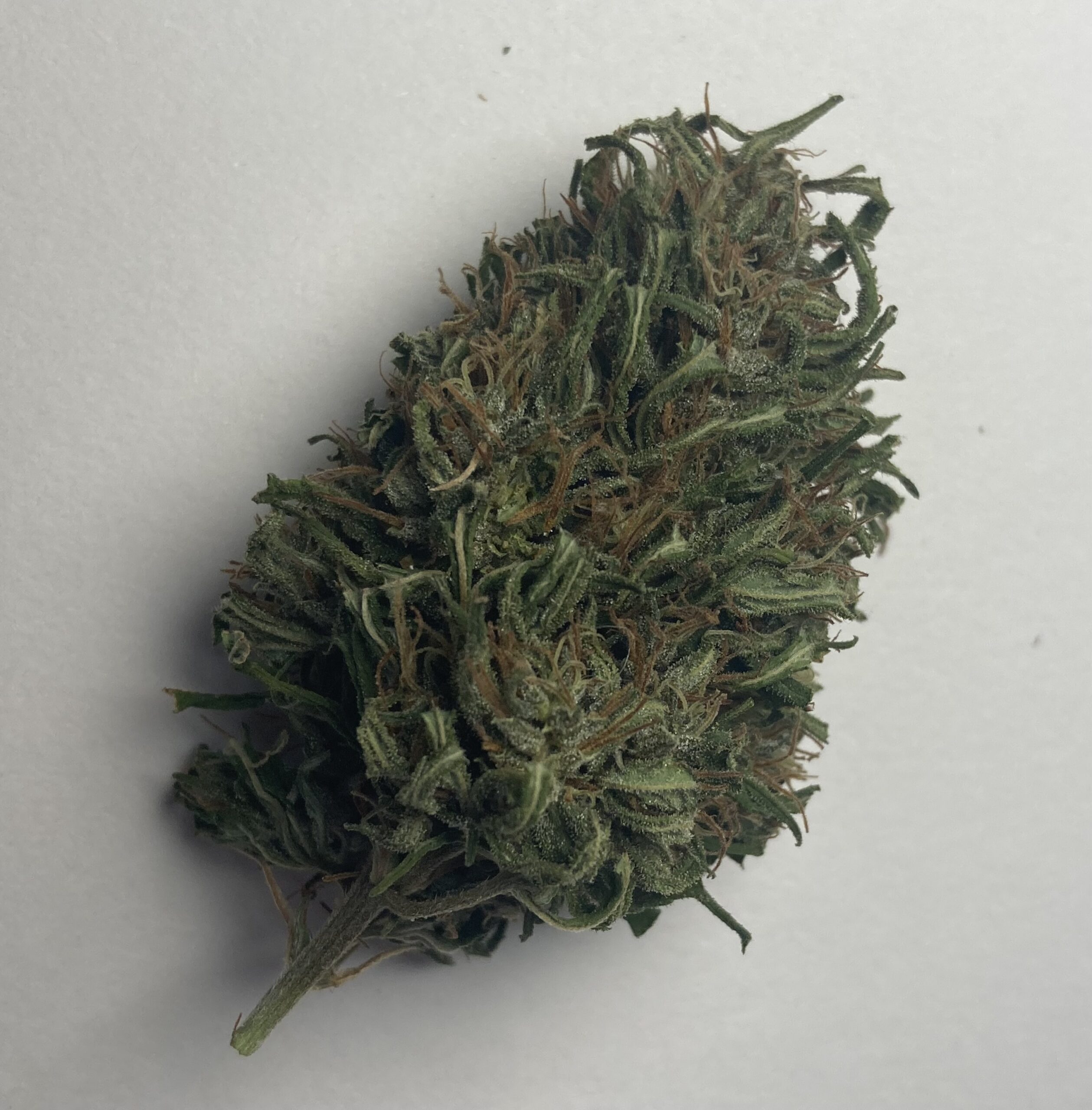 Arizona Dream, Fleurs de Chanvre à CBD