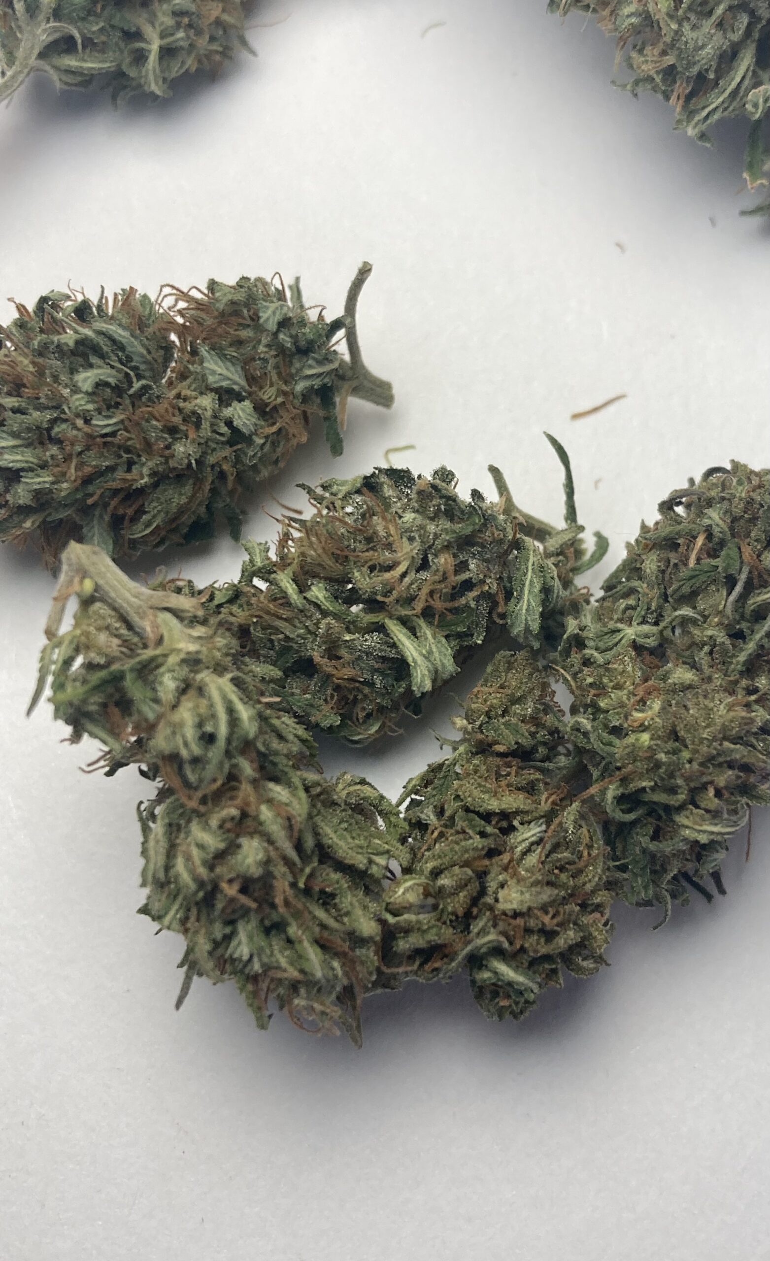 Arizona Dream, Fleurs de Chanvre à CBD – Image 4