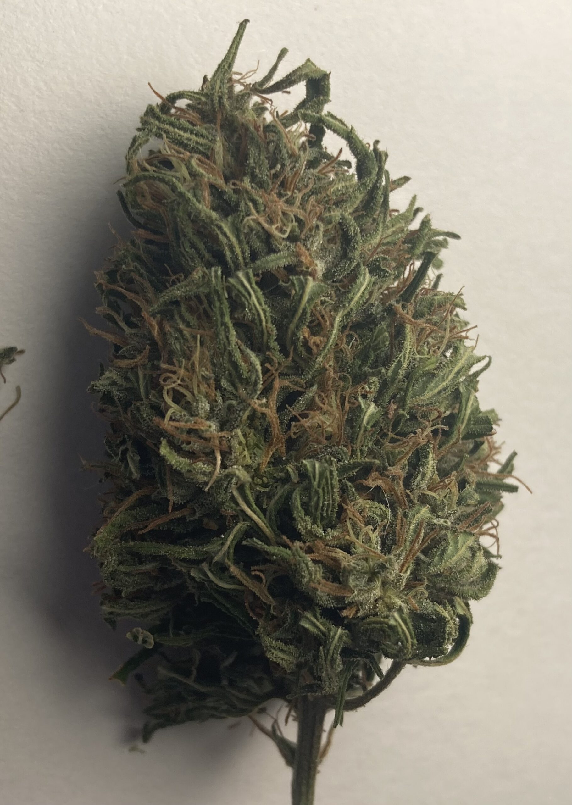 Arizona Dream, Fleurs de Chanvre à CBD – Image 2