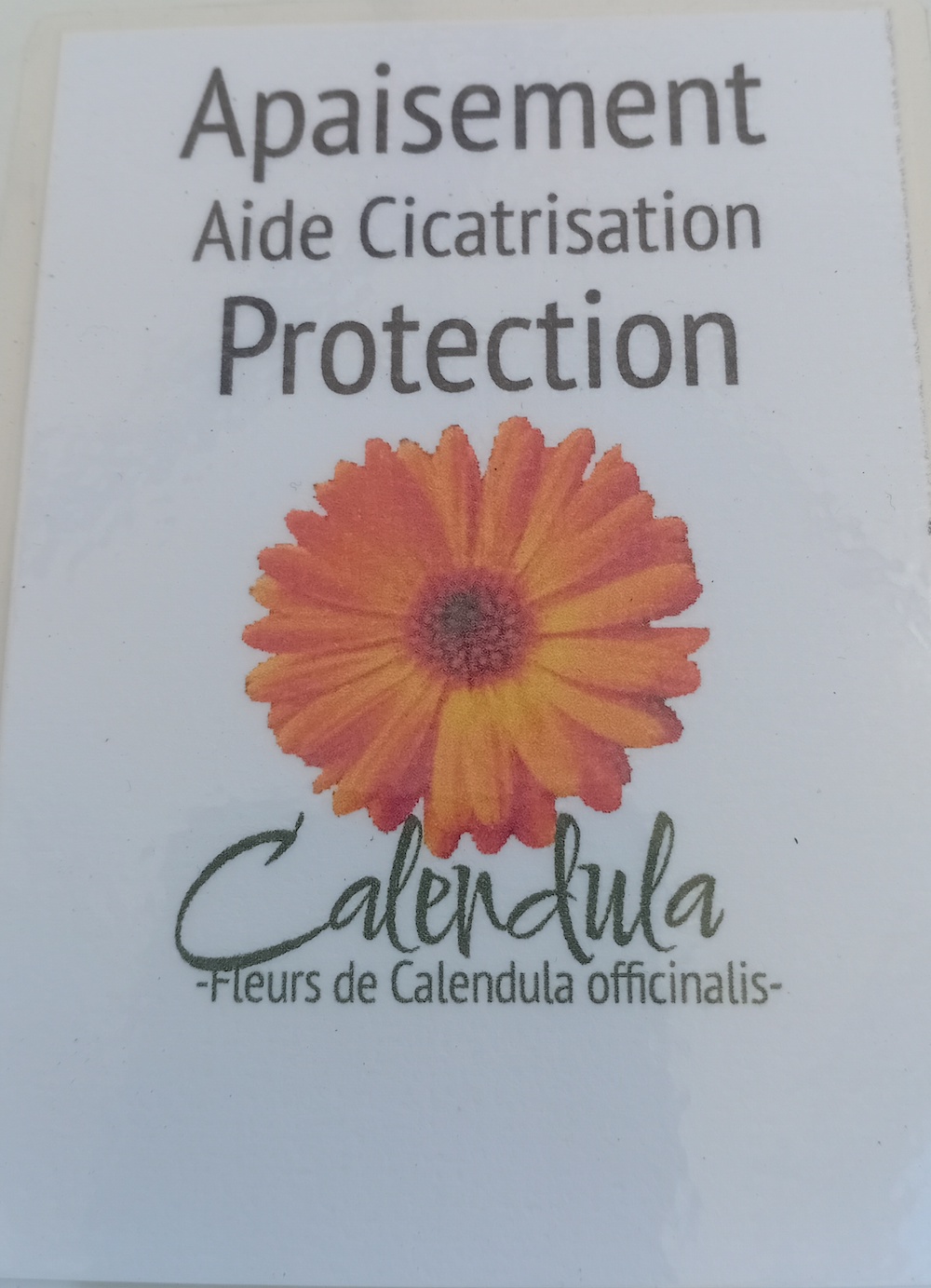 Fleurs de Souci des Jardins - Calendula Officinalis – Image 7