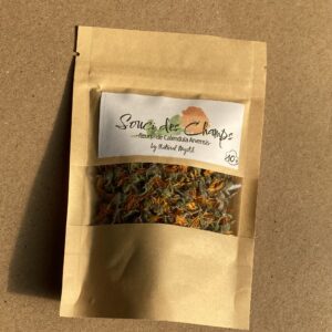 Fleurs de Souci des Champs - Calendula Arvensis