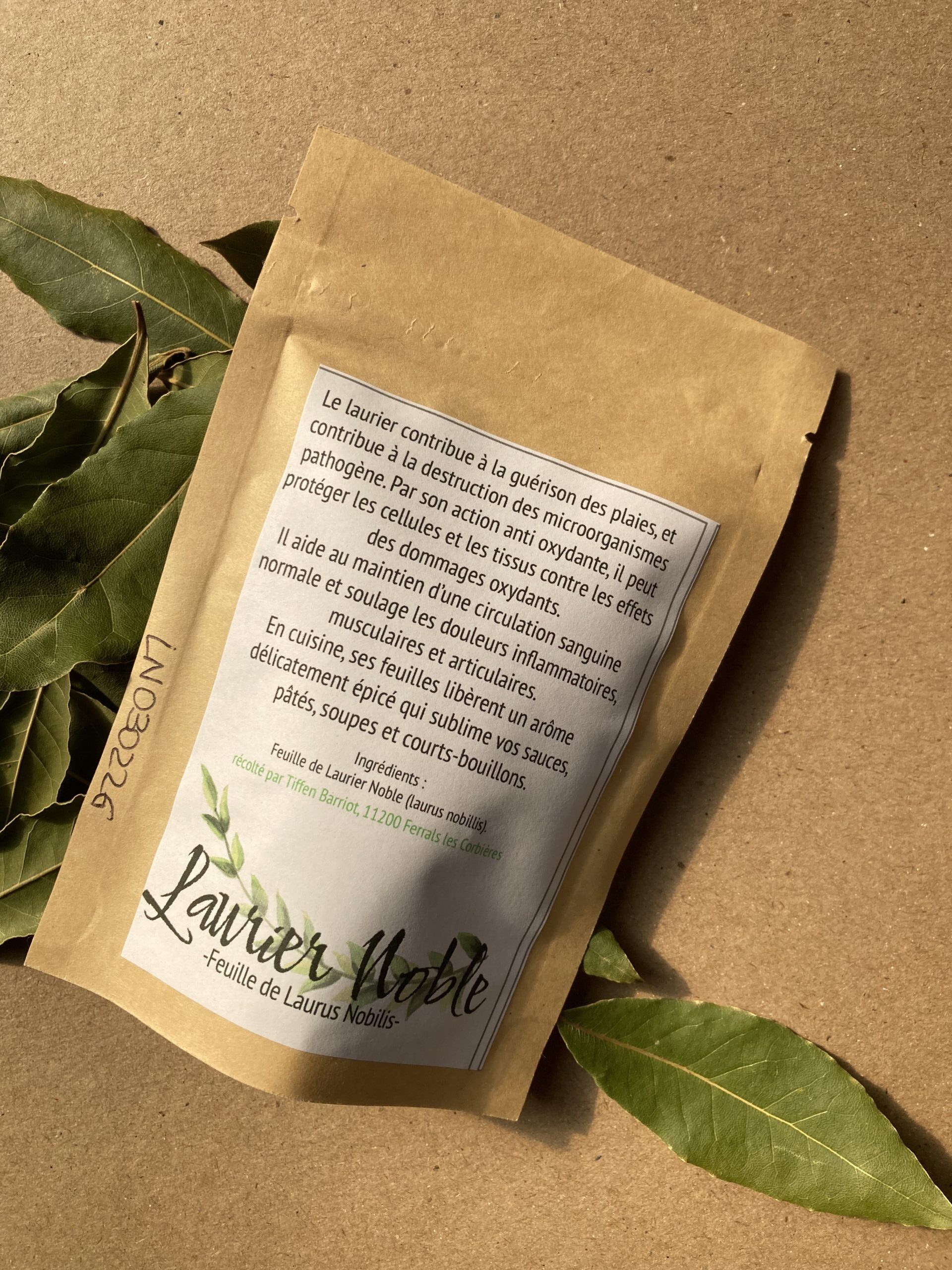 Feuilles de Laurier Noble - Laurus Nobilis – Image 4