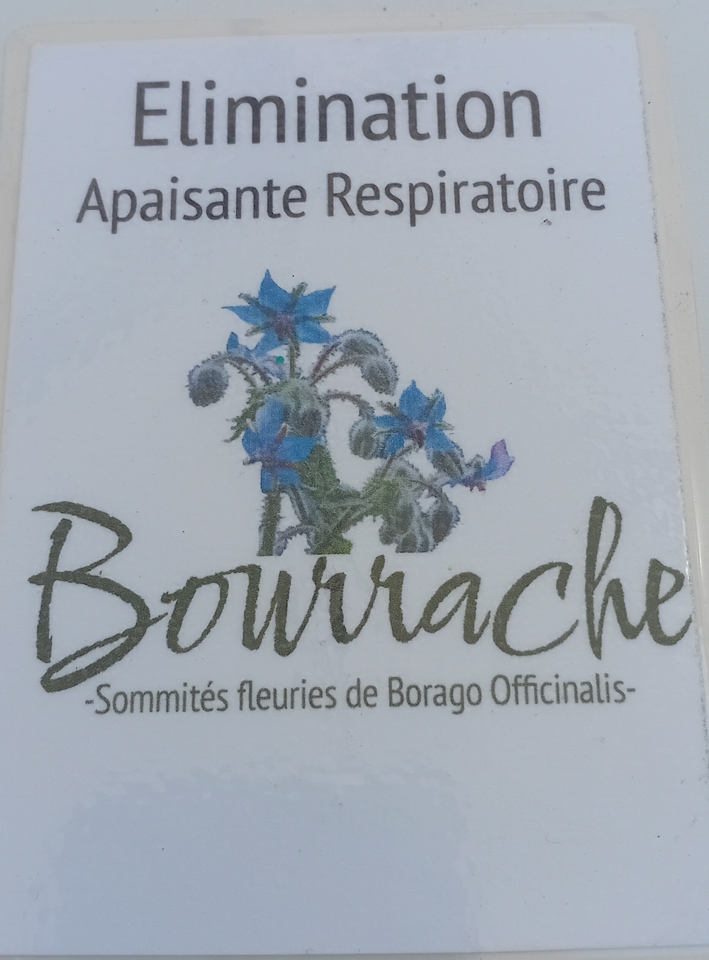 Sommitées Fleuries de Bourrache – Image 2